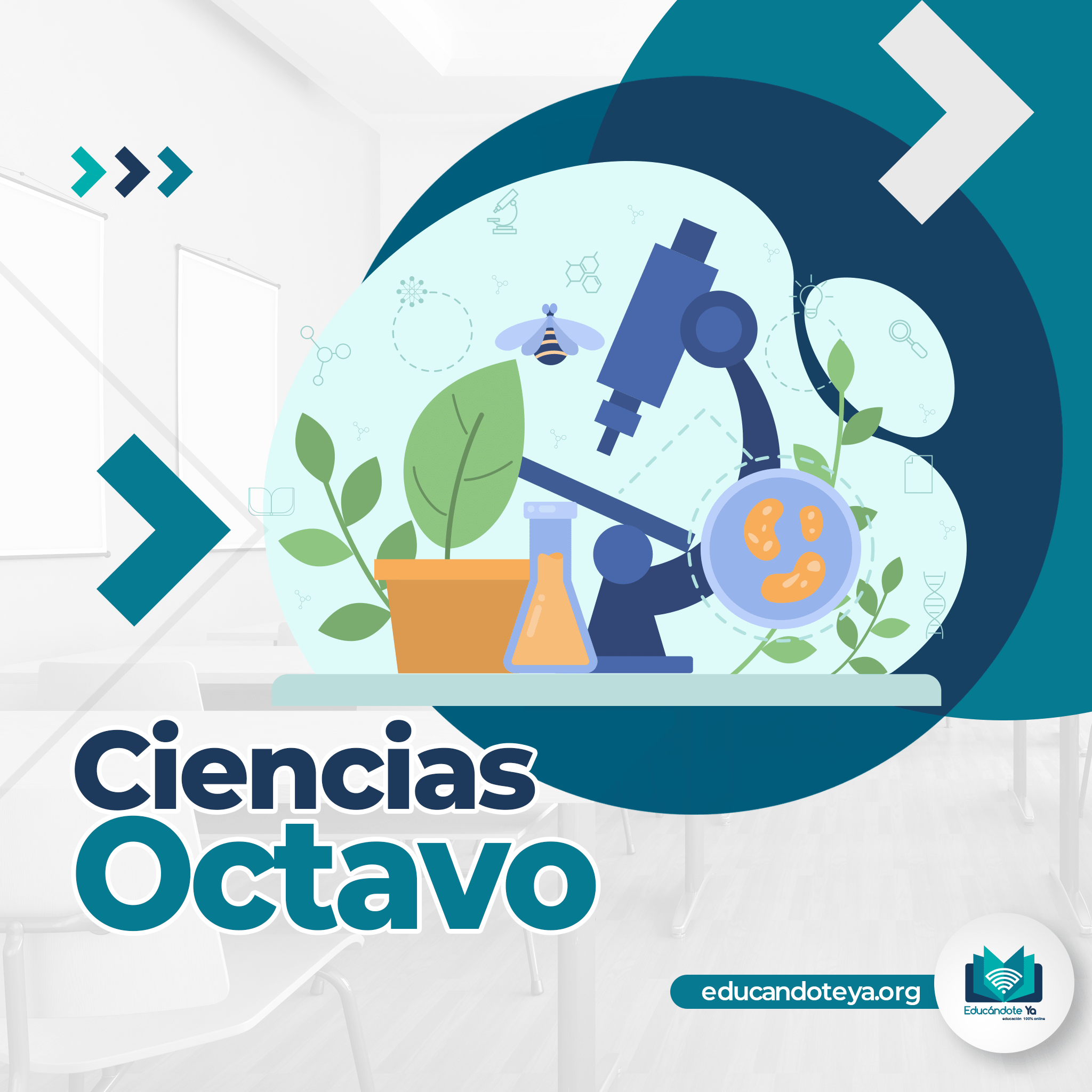 Ciencias Octavo